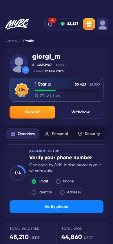 The mock profile on a phone: avatar, level card, account setup card and tabs