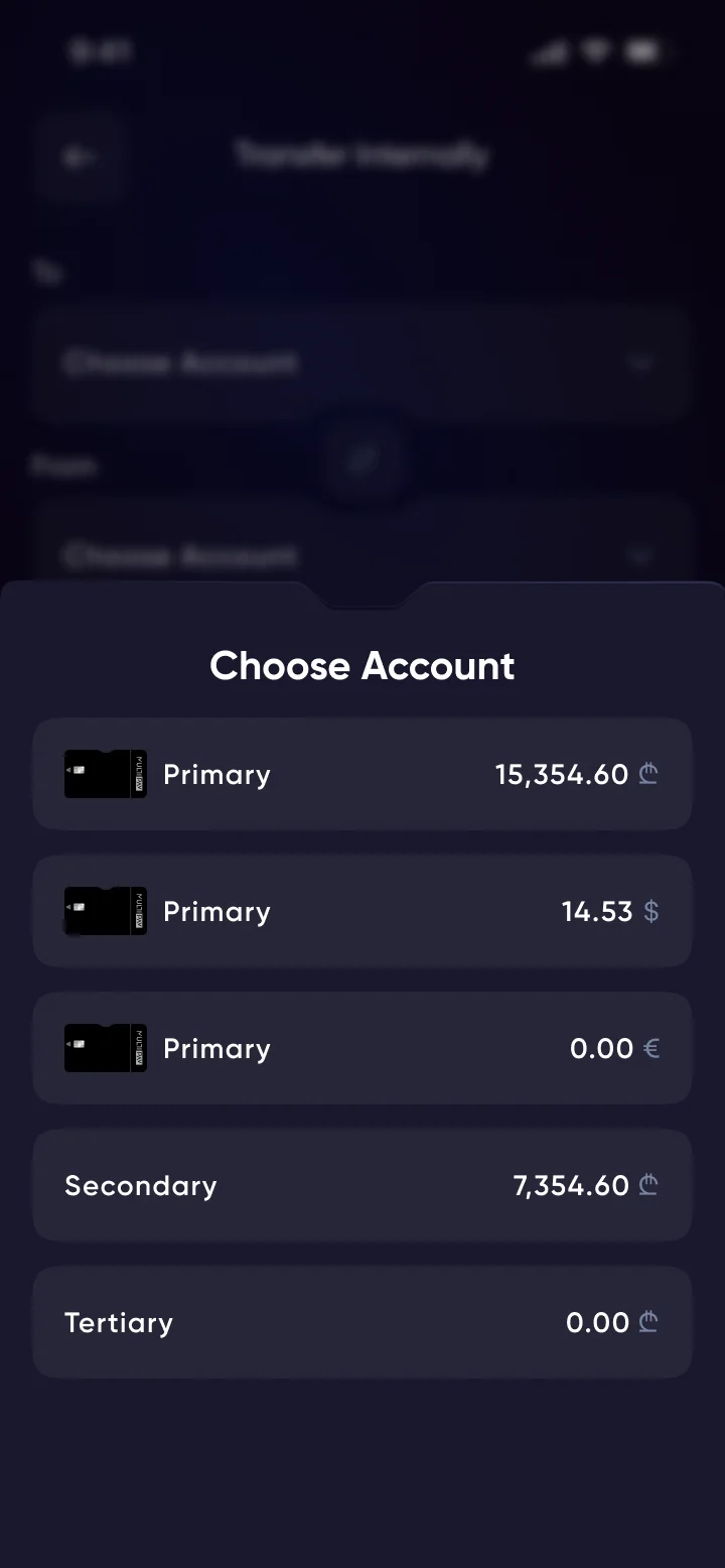 Choose Account drawer listing primary accounts in lari, dollars and euros